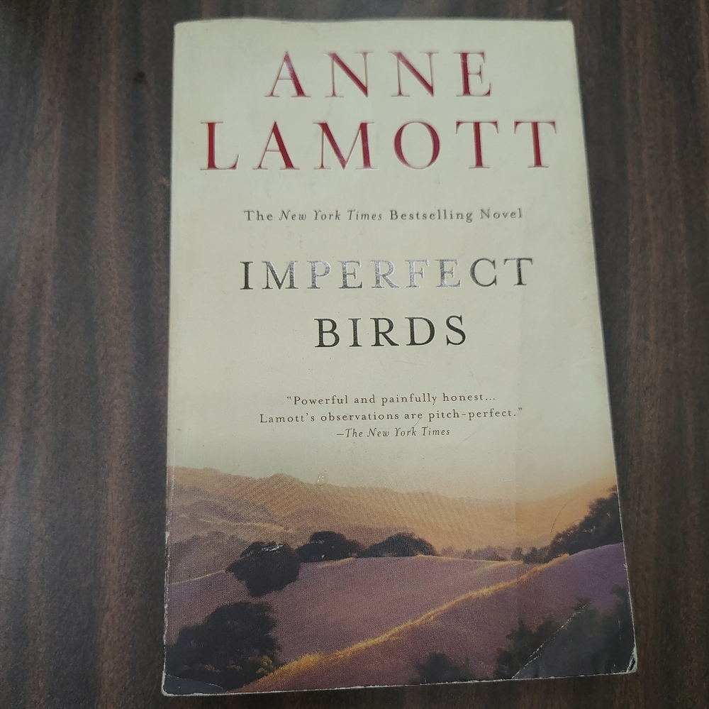 Imperfect Birds By Anne Lamott